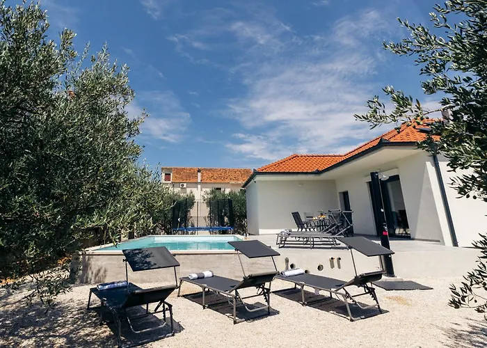 Villa Martha's Oliveyard